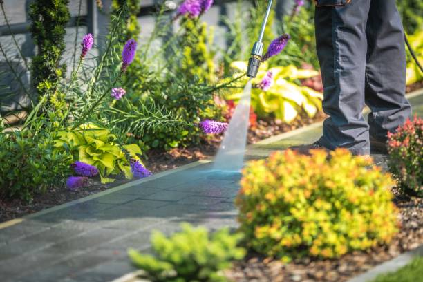 Best Fence Cleaning  in Happy Valley, CA
